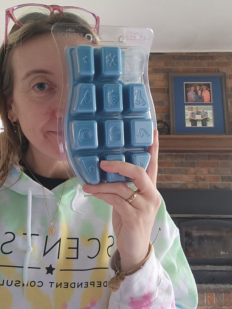 Scentsy Bricks
