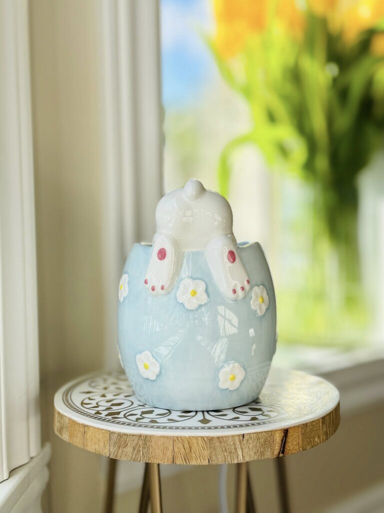 March 2025 Warmer of the month Curious Cottontail
