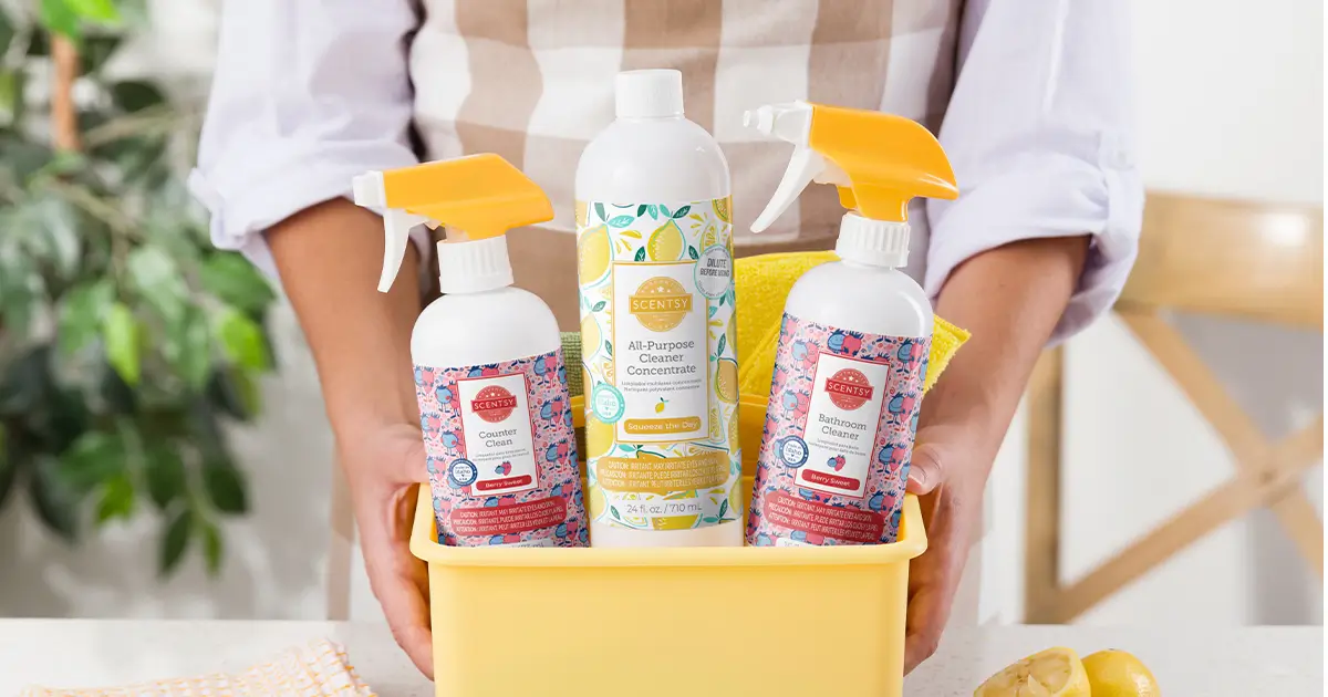 Scentsy Cleaning items are top notch. Let's take a quick look at them