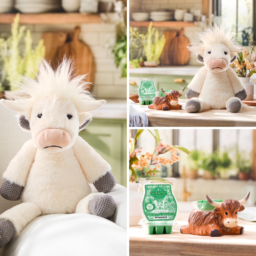Scentsy's new Highland cow collection.  Haddie the highland buddy and a highland cow warmer