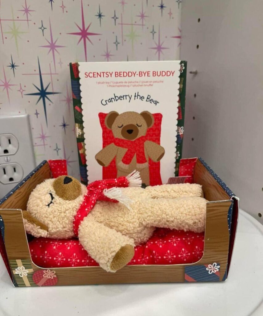 Cranberry the Beddy By buddy bear