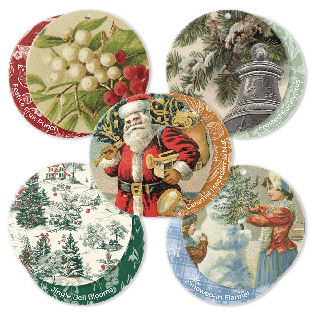 Scentsy holiday collection 2025 scent circle bundle