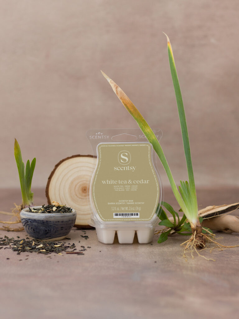 Scentsy White Tea & Cedar dye-free wax bar from the Inspire Collection, surrounded by earthy roots and loose tea leaves for a grounding aesthetic.