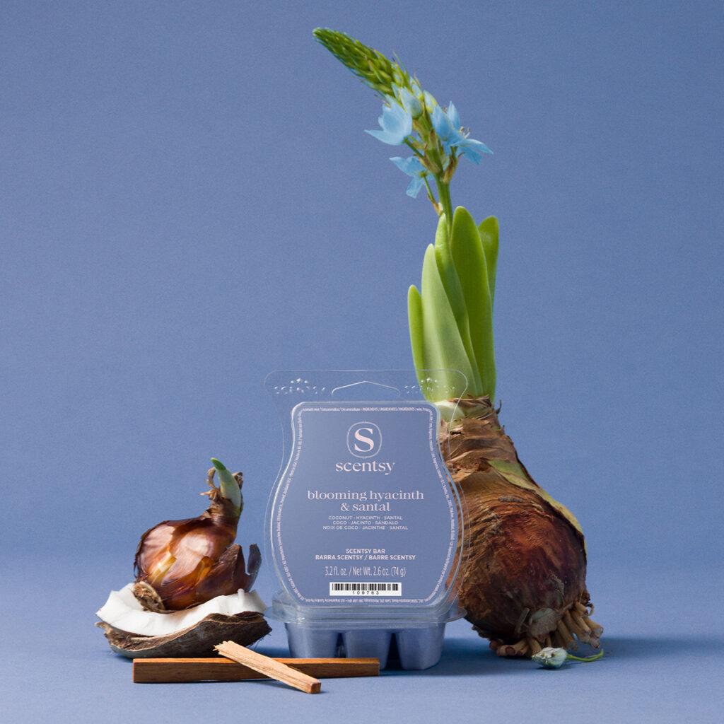 Blooming Hyacinth & Santal Scentsy wax bar with fresh floral and soft wood notes