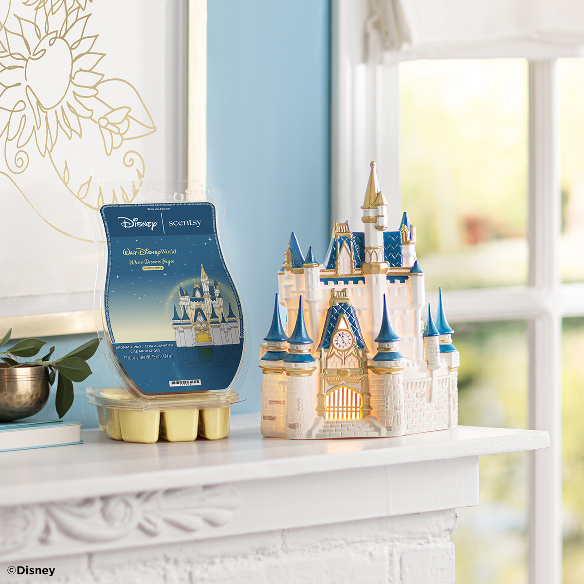 Disney Castle Warmer