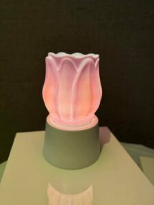 Scentsy mini warmer displayed on a tabletop base in a home.