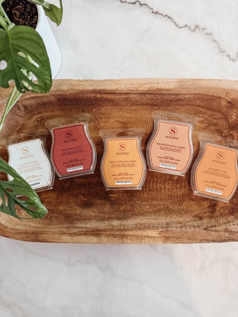 The 2026 Scentsy Harvest Collection wax bars featuring Sandalwood & Vanilla Pumpkin, Wild Cherry Fire, Spicy Citrus & Cedar, Smoked Honey Apple, and Pumpkin Oak.