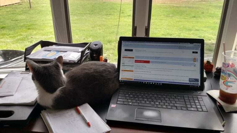 Laptop open cat and messy desk. real life behind the scenes of Organized Online Entrepreneur