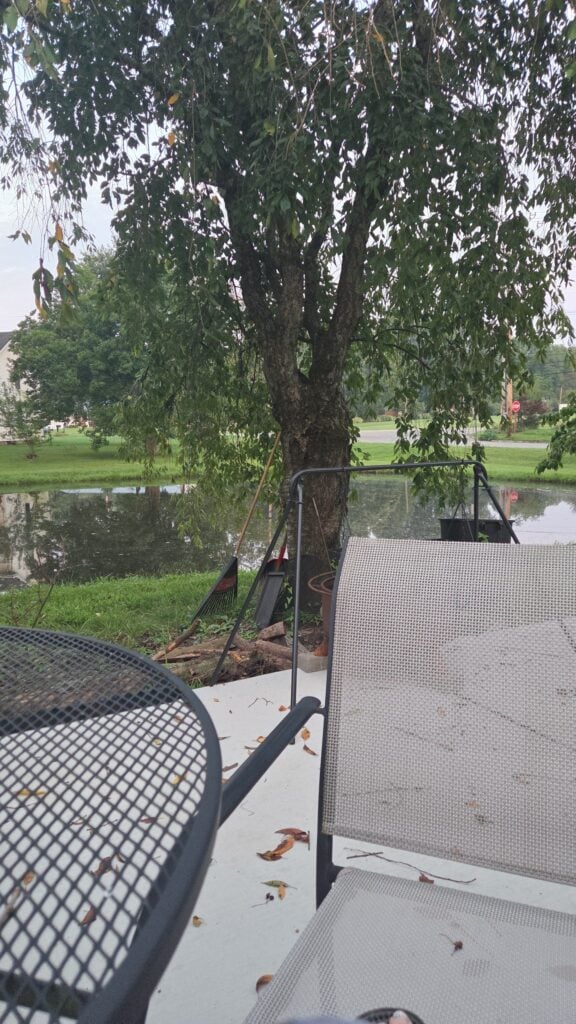 Quiet August morning sitting outside at home by the pond