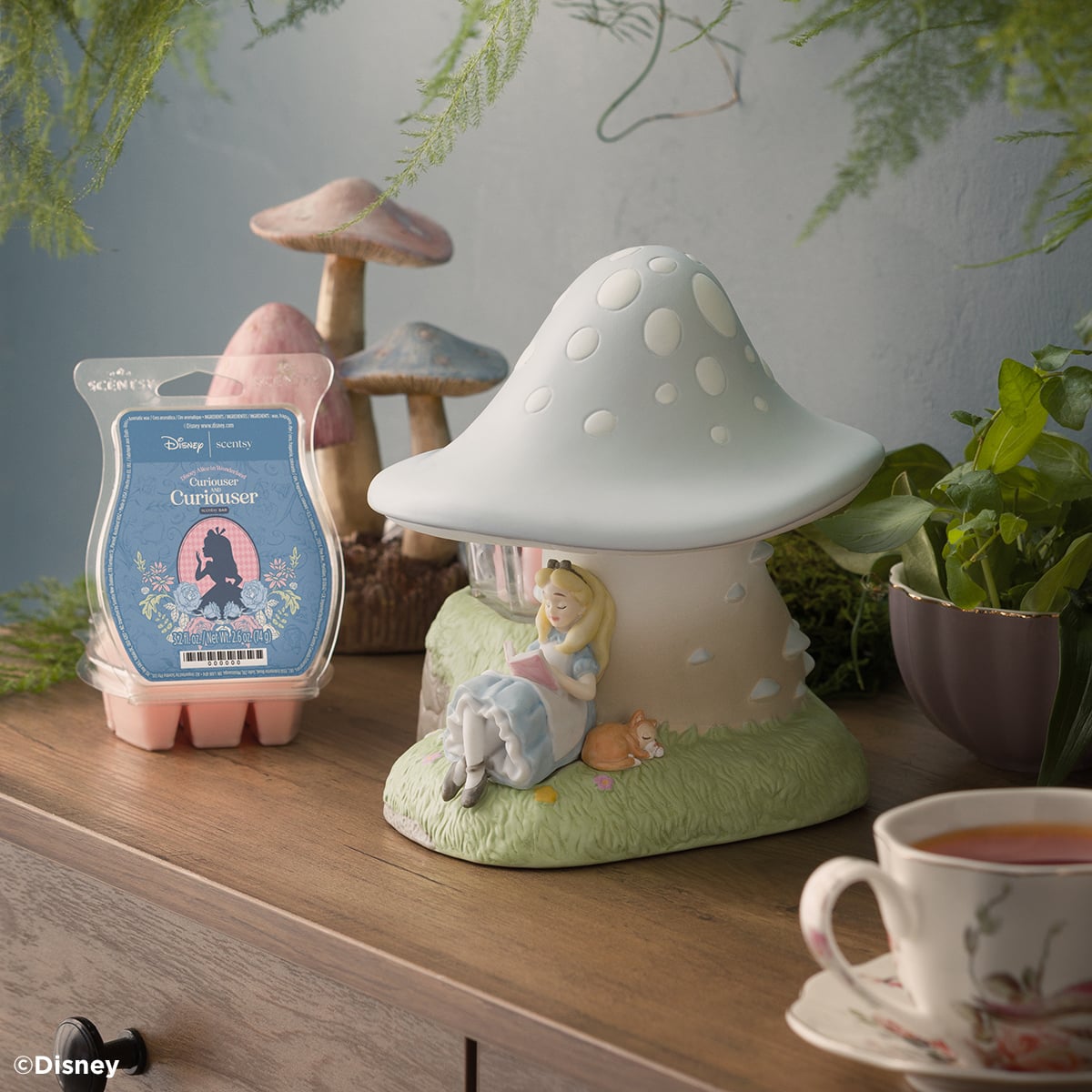 Scentsy Alice in Wonderland Collection