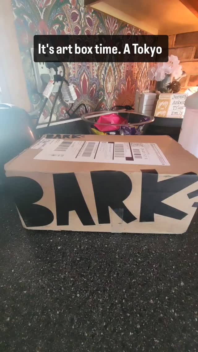 This theme wasn't my favor.  But he is loving the pork belly rub Ramen toy!

Again, get you a @superchewer @barkbox . It is super fun and way cheaper than buying toys.  Ezra is still loving every toy he's gotten.

#dogs #dogsofinstagram #doglover #barkbox #barkboxsuperchewer #productreview