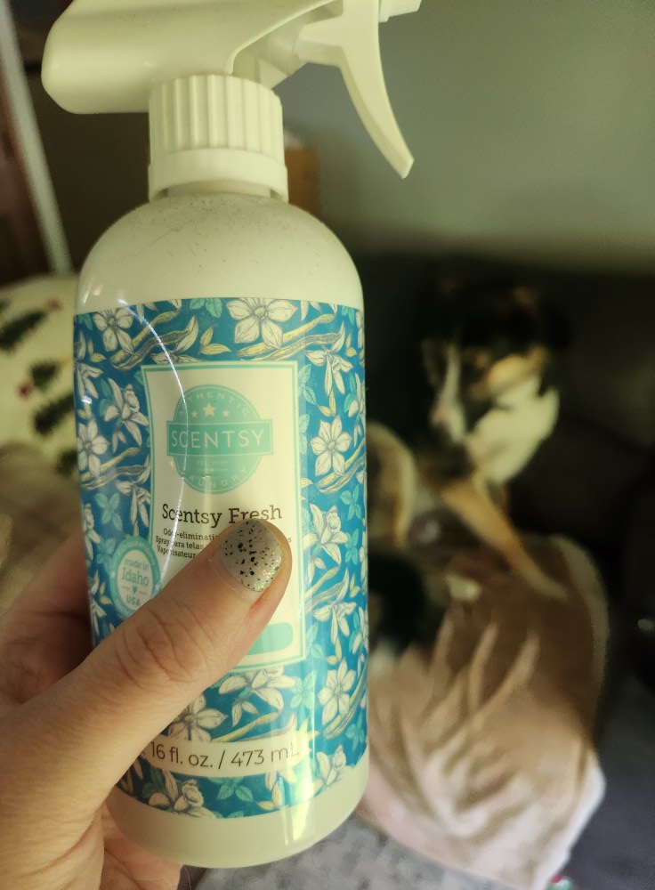 Thank you Scentsy Fresh for making sure the couch and blankets don't smell like dog and farts. 
Amen.
Carry on lol.