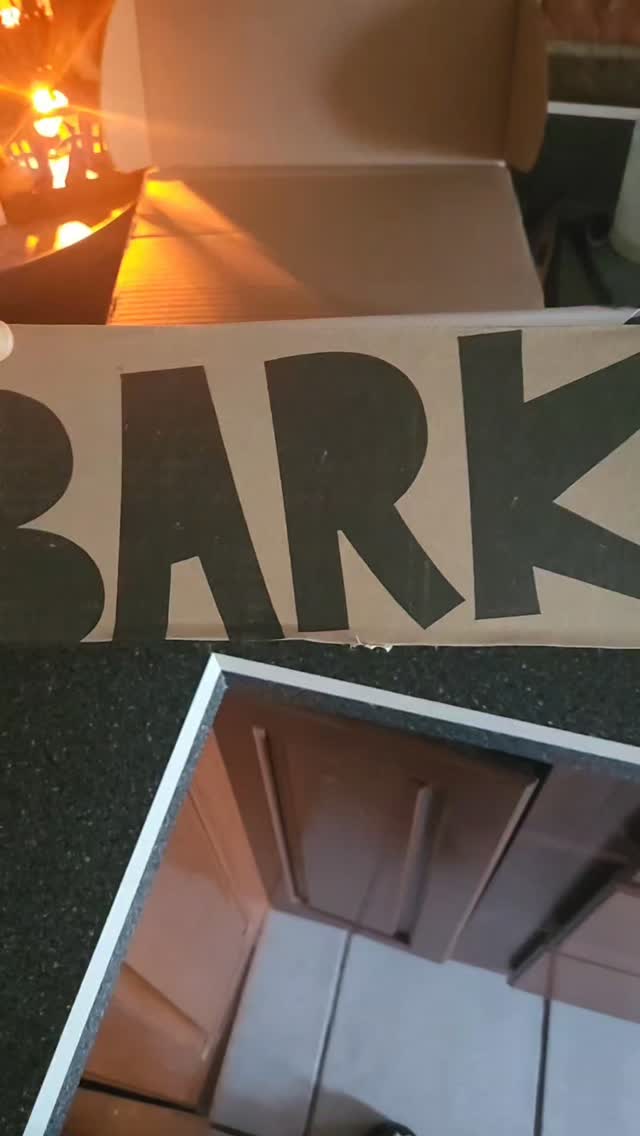 @bark @superchewer He grabbed the weird alpaca first!  Which did your dog grab first? #barkbox #barkboxsuperchewer #xoxoamberg