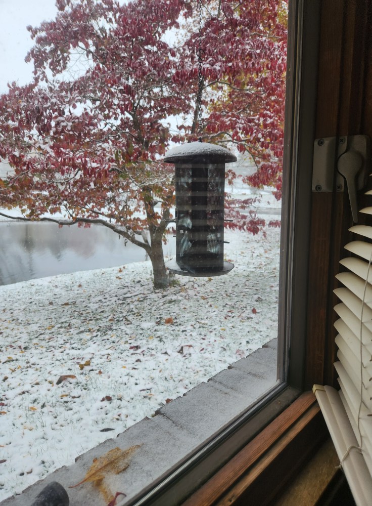 I would be ok with snow if it stayed like this.

Not sticking to the road and I can still see the grass. 

It is beautiful.