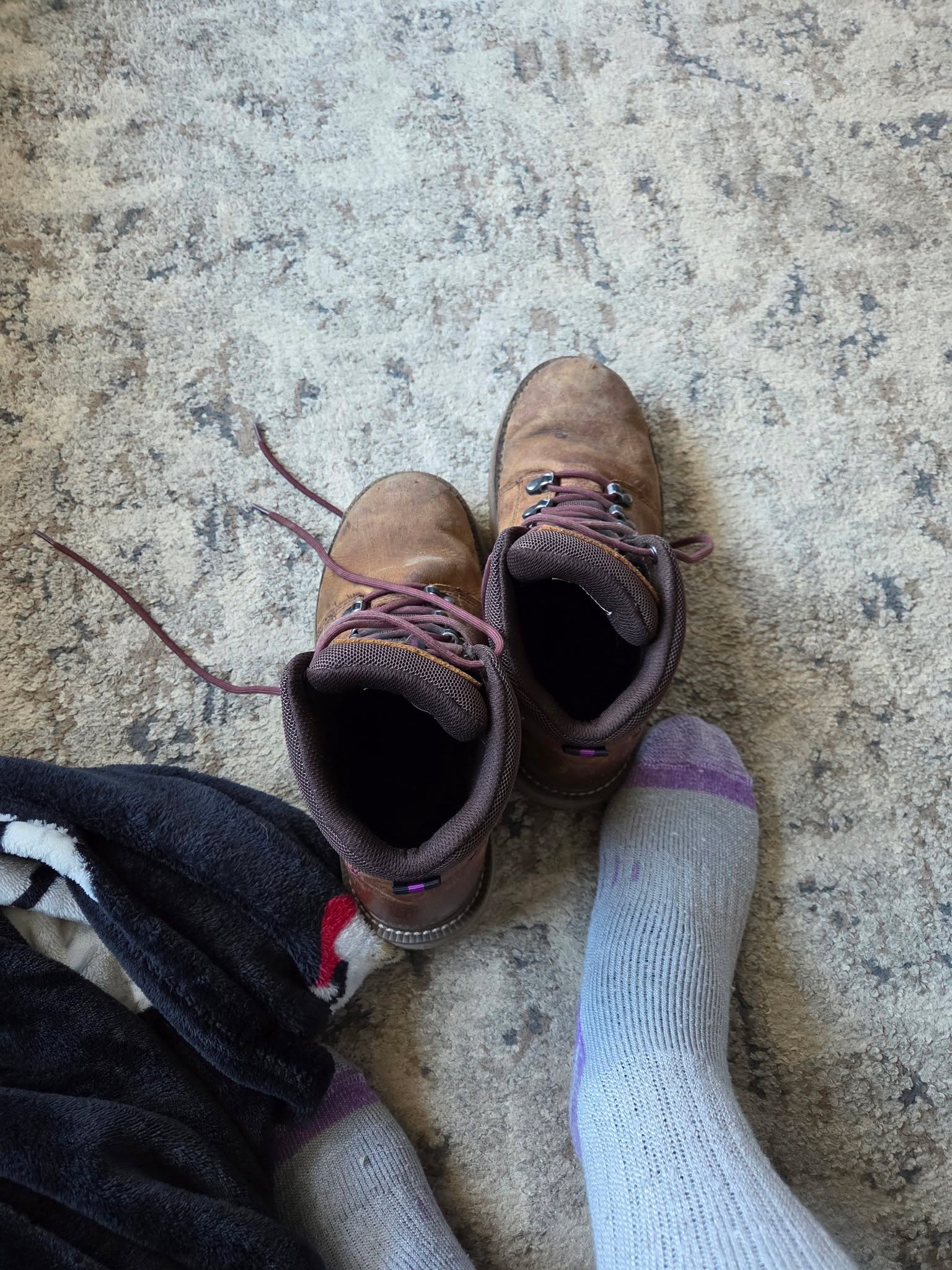 The work boots are out. That means this girl is back in trees today....in snow. 

Stayed tuned because there will be shenanigans and complaints.