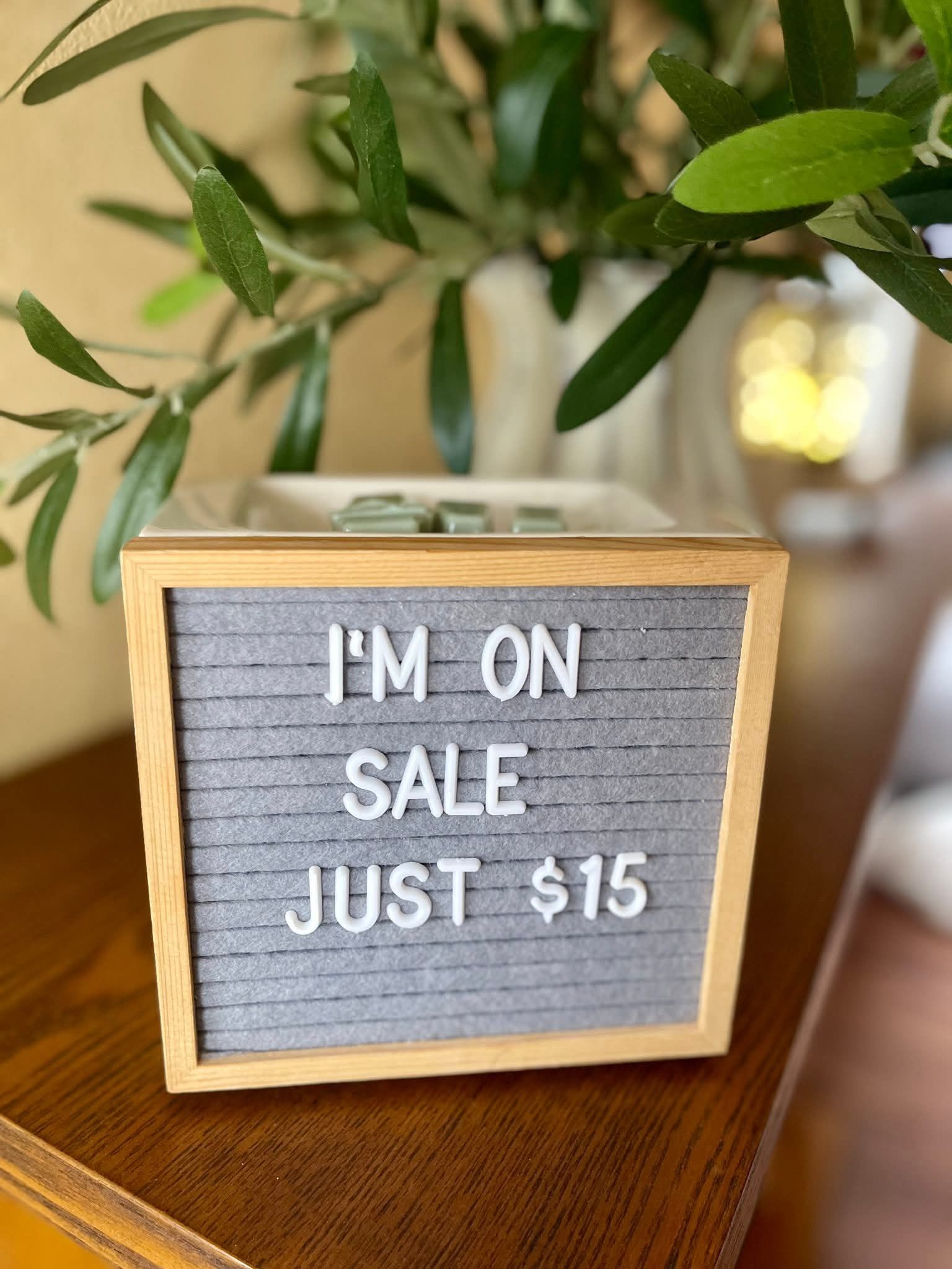 Um, how is this still available and for $15?!?

Dude hurry and get it.  Geesh. 

And help the fundraiser 😉