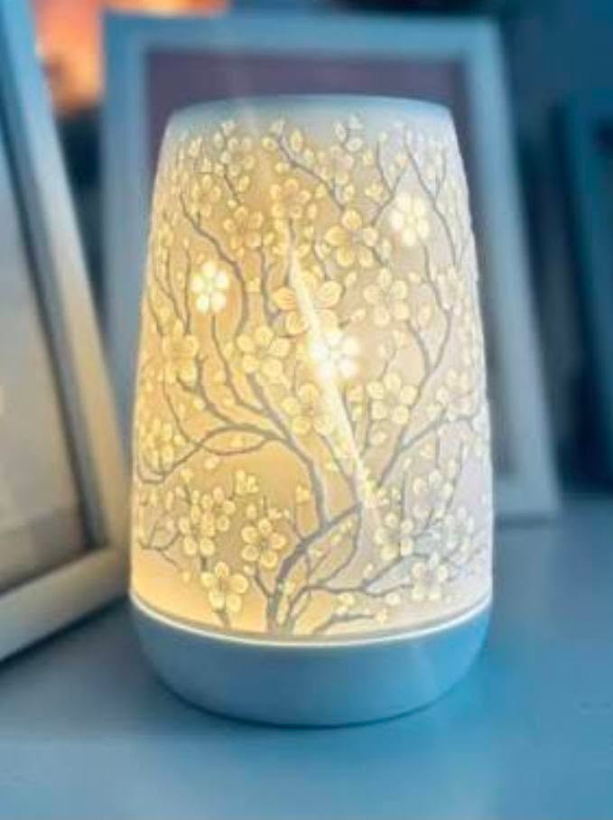 Dude first off this warmer is so pretty
Second it WAS $60
Now it is $35. But not just $35...but 35 and 2 bars and 5 cotton clean ups. 

So um, yeah, go get it. You deserve something pretty. 

Link in comments