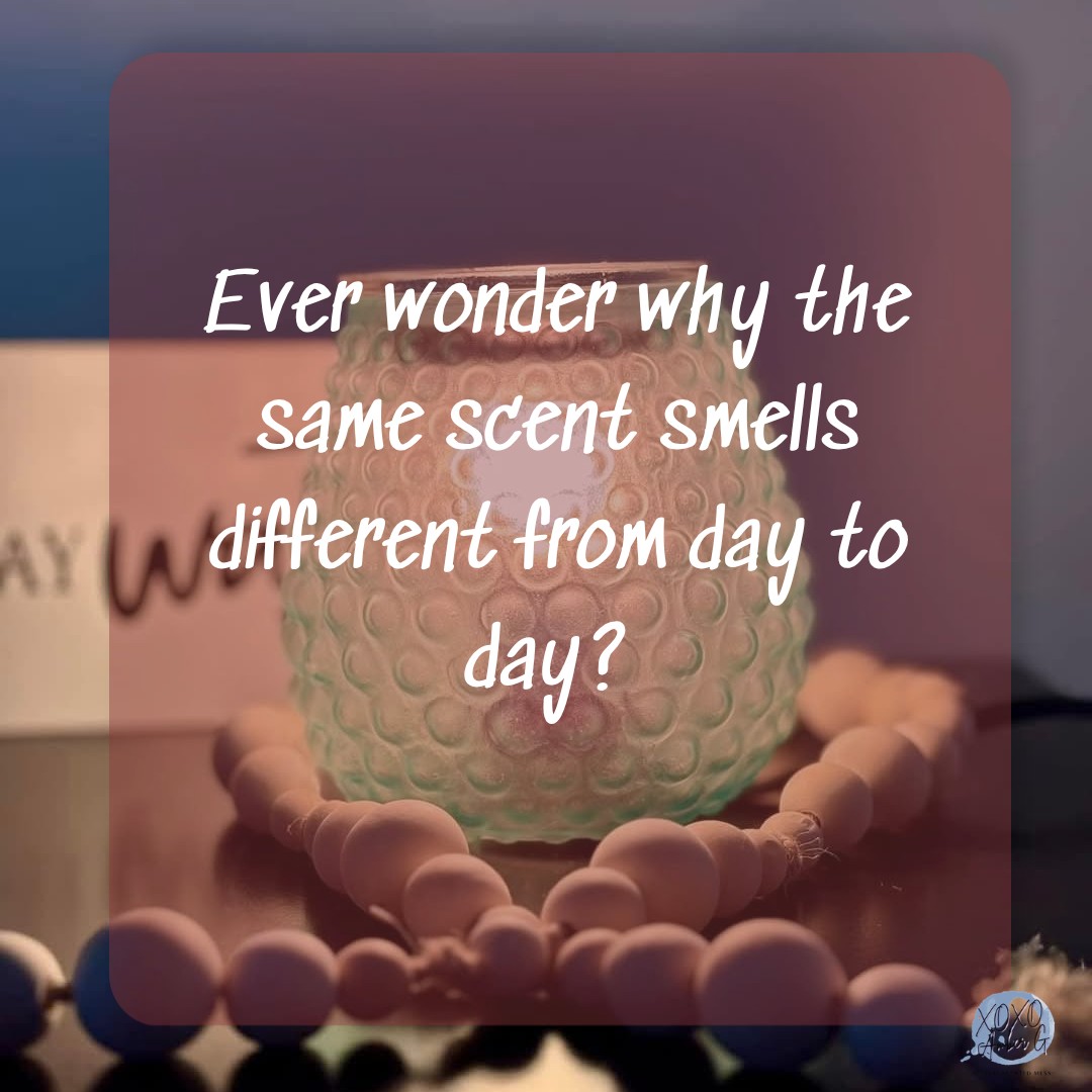 Ever notice a scent seems super strong one day and then barely noticeable the next?

Same wax.
Same warmer.
Same house.

So what changed?

Sometimes... the weather.

Humidity can actually affect how fragrance moves through the air. That's one reason scents may seem stronger on muggy summer days and lighter during those dry winter months.

Scent needs something to hold on to. A buddy sort of.  That is where moisture comes into play.

Before you blame the wax, take a peek at the weather, think about airflow in your home, and don't forget about nose blindness too. 😉

Save this for the next time a scent feels a little "off."

And tell me...

Have you ever noticed your favorite scent seems stronger on rainy or humid days?
