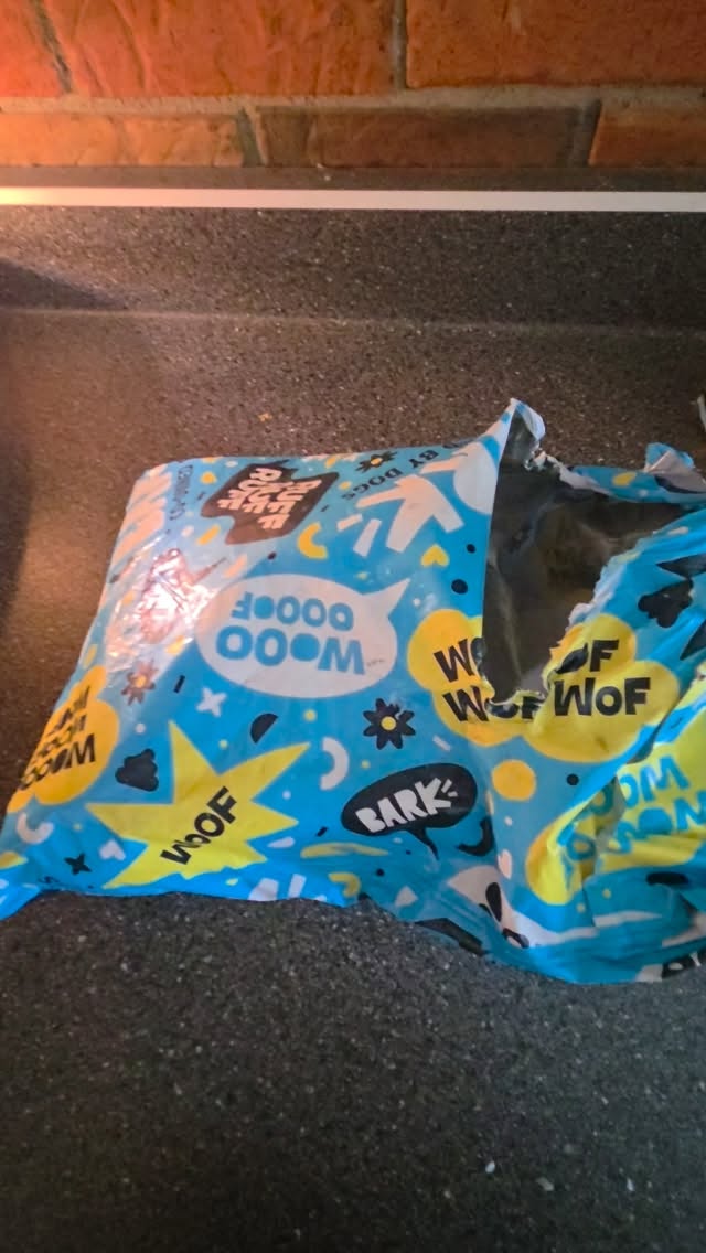 I thought he'd take the ball first, nope ice cream cone.

#xoxoamberg #barkbox #barkboxsuperchewer