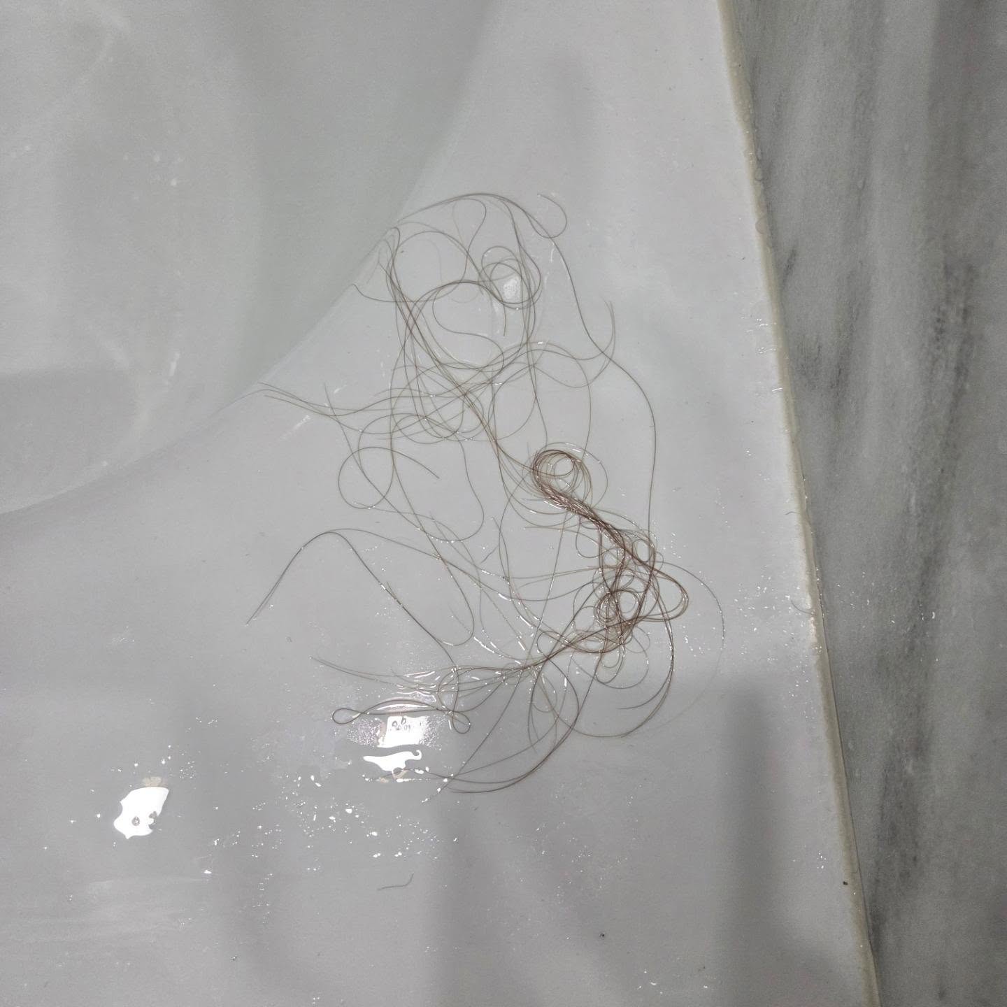 Tell me you are super stressed/anxiety/high strung without telling me....ill go first. 

This is just one shower and all me lol.  More will come when I brush....how am I not bald??

#xoxoamberg #stressed #anxiety #tellmewithouttellingme #hairloss