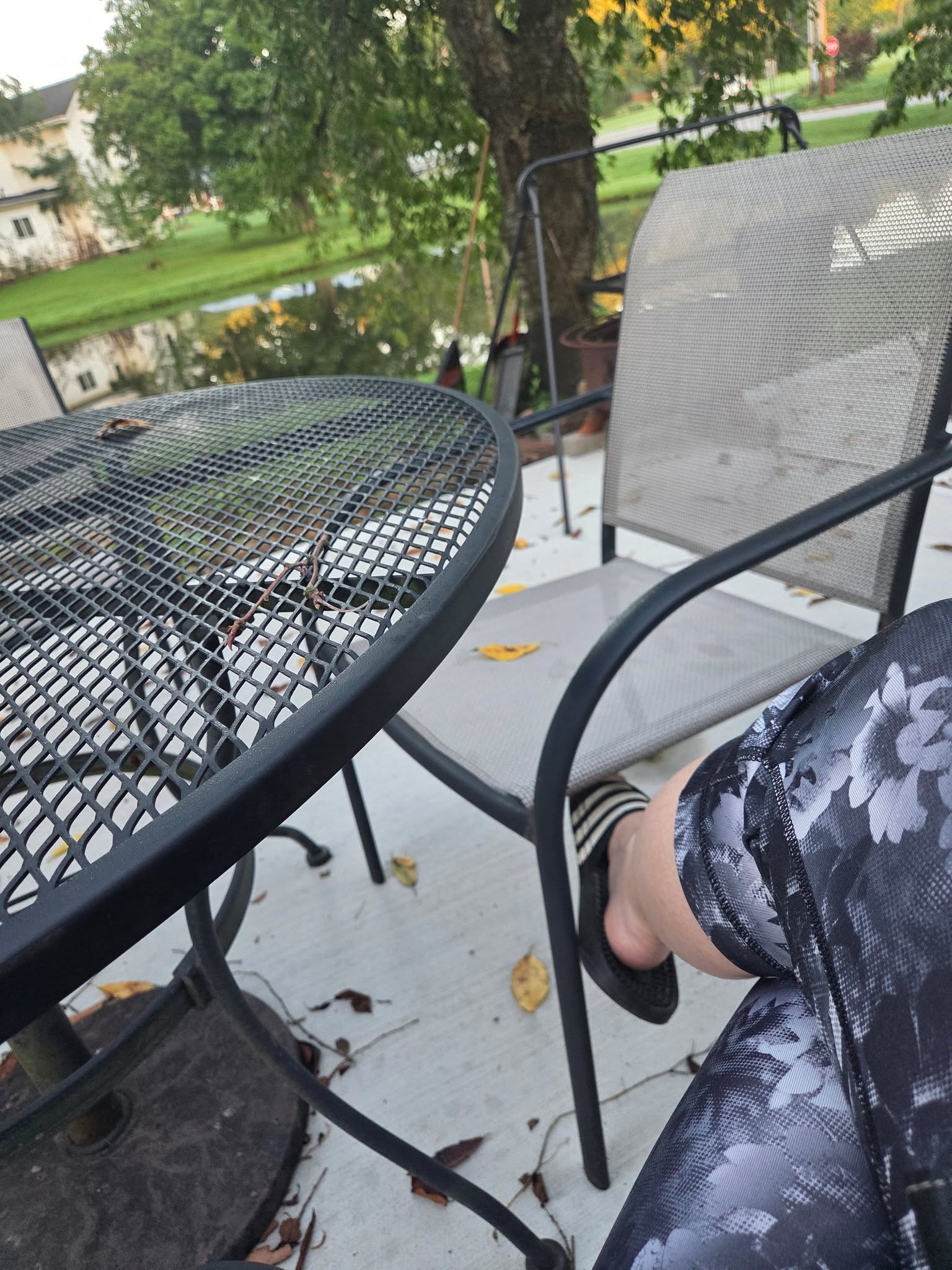 On vacations I always sit outside in the morning. 
Read, write, wake up. And I love it. 
At home, never. 
So we are giving it a try this morning. 

Ps...bourbon Street is open everyone...stay the F off mine now, ok? Thanks.