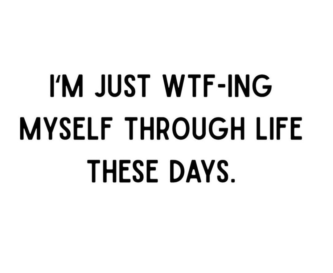 The past year, and our fall curse is upon us. Life has been something.  Soooooo hang on i guess.